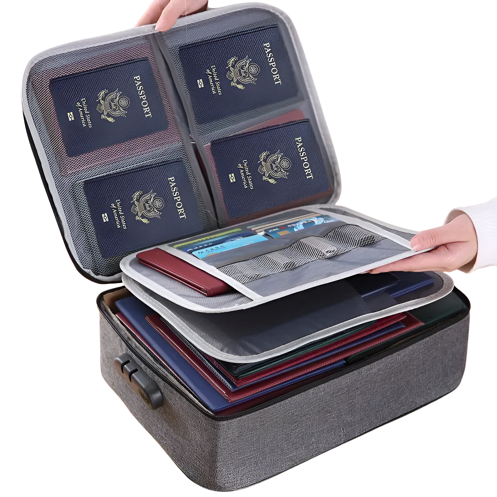 TravelSafe Document and Passport Bag